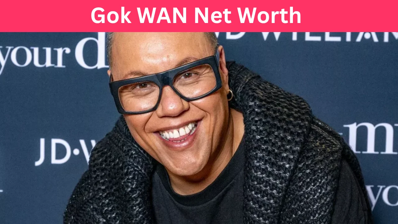 Gok WAN Net Worth