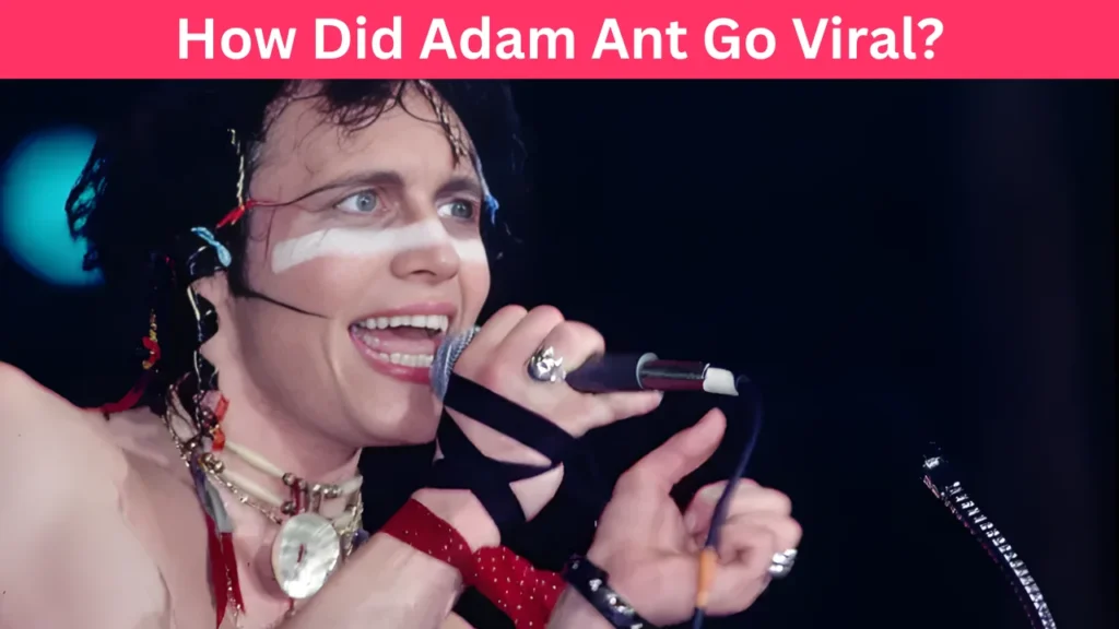 How Did Adam Ant Go Viral?