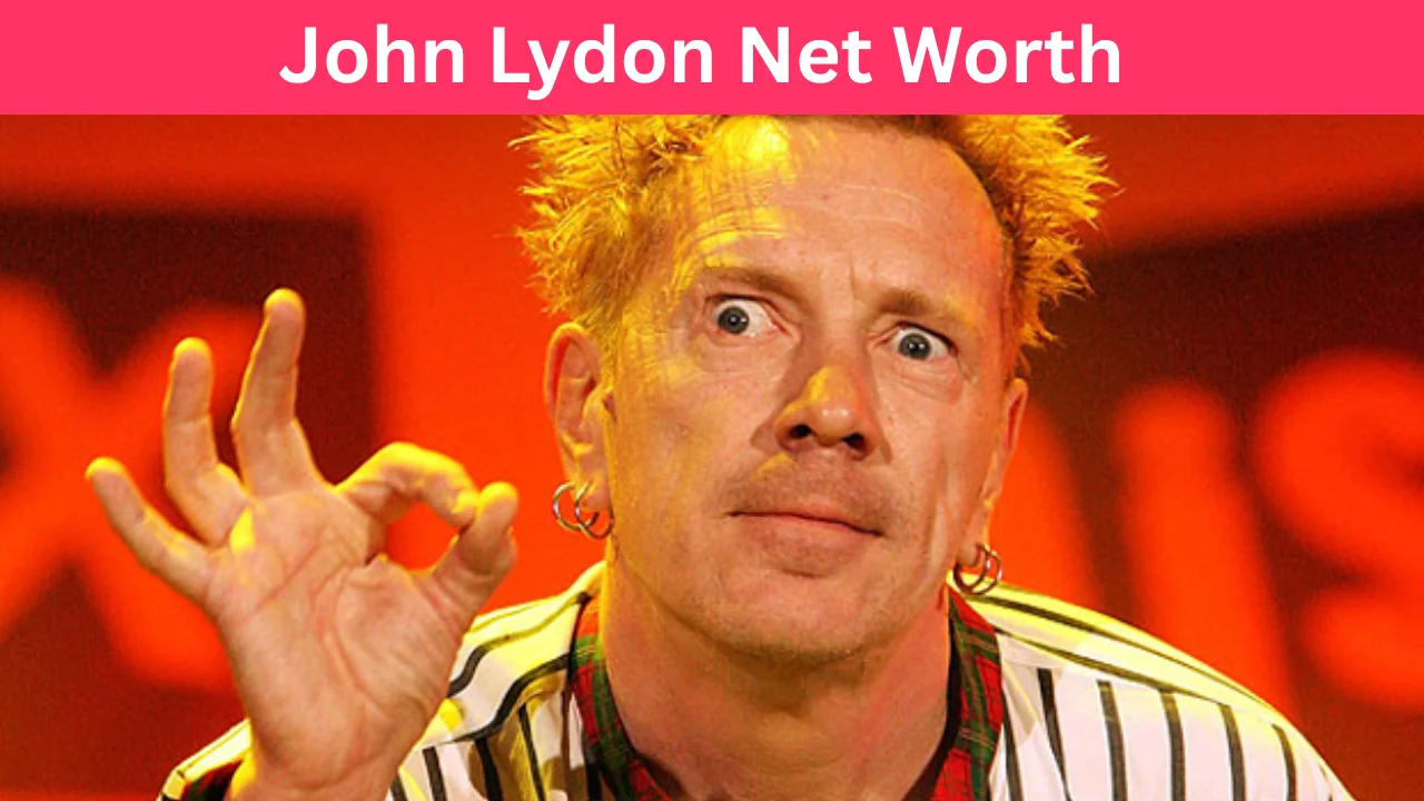 John Lydon Net Worth