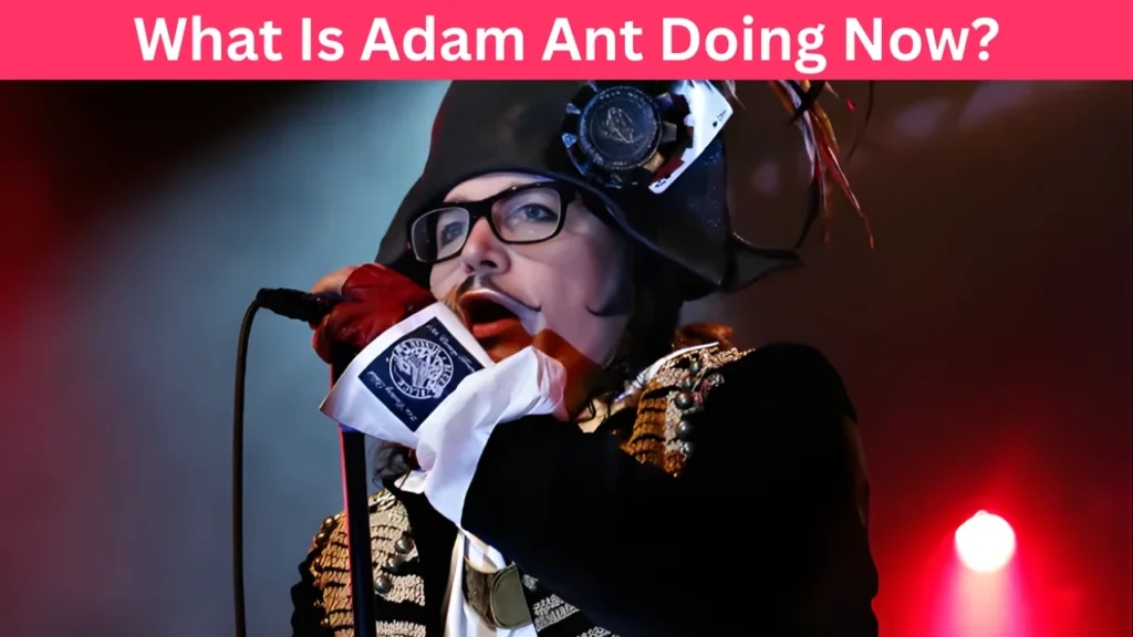 What Is Adam Ant Doing Now?