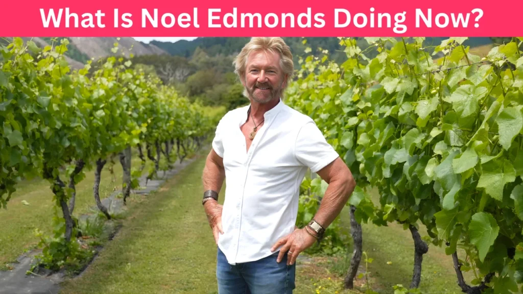 What Is Noel Edmonds Doing Now?