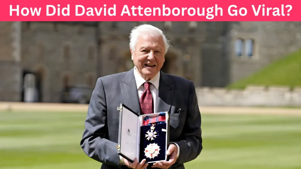 How Did David Attenborough Go Viral?