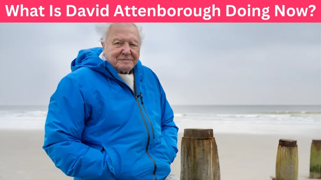 What Is David Attenborough Doing Now?