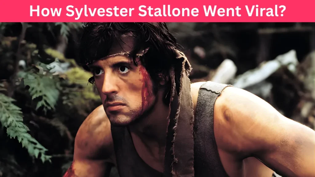How Sylvester Stallone Went Viral?