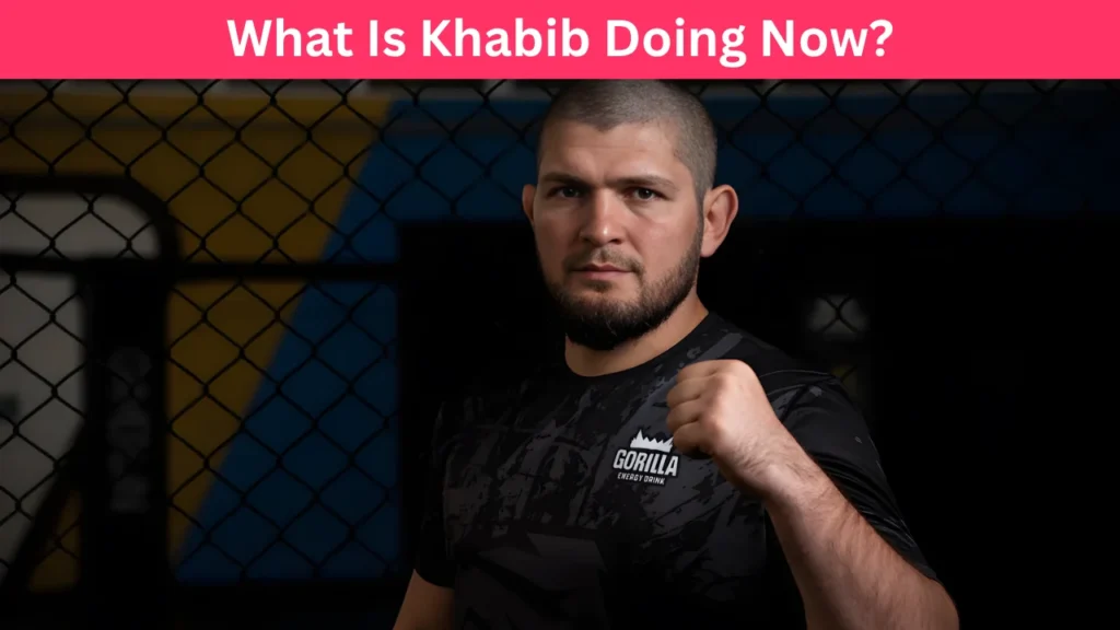What Is Khabib Doing Now?