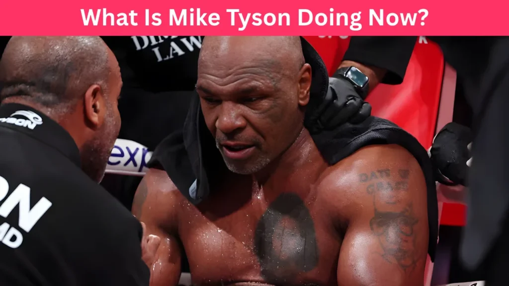 What Is Mike Tyson Doing Now?