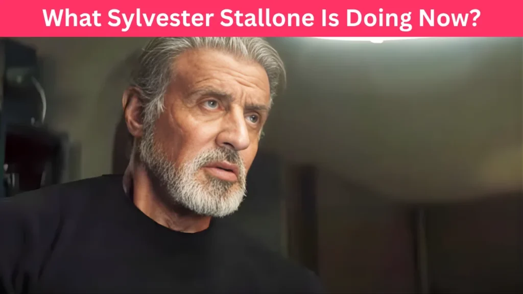 What Sylvester Stallone Is Doing Now?