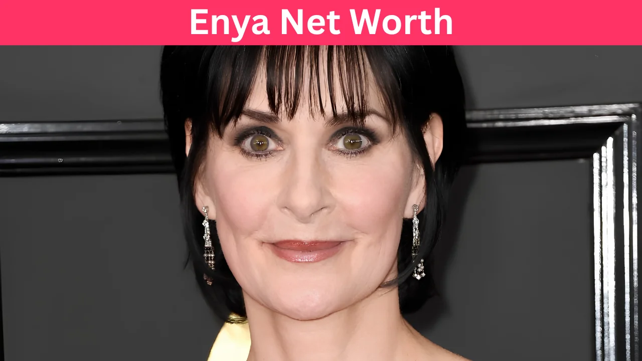 Enya Net Worth